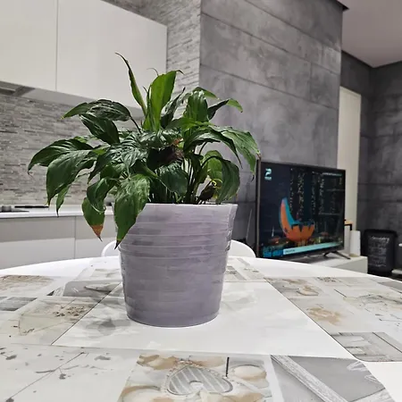 Апартаменты Stylish Escape *